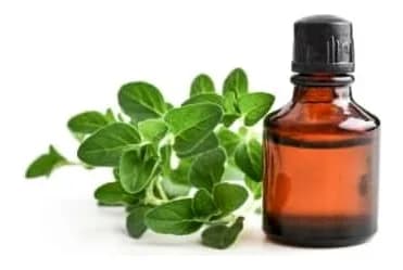 Oregano and a bottle of natural extract