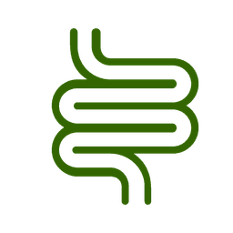 Digestive Health