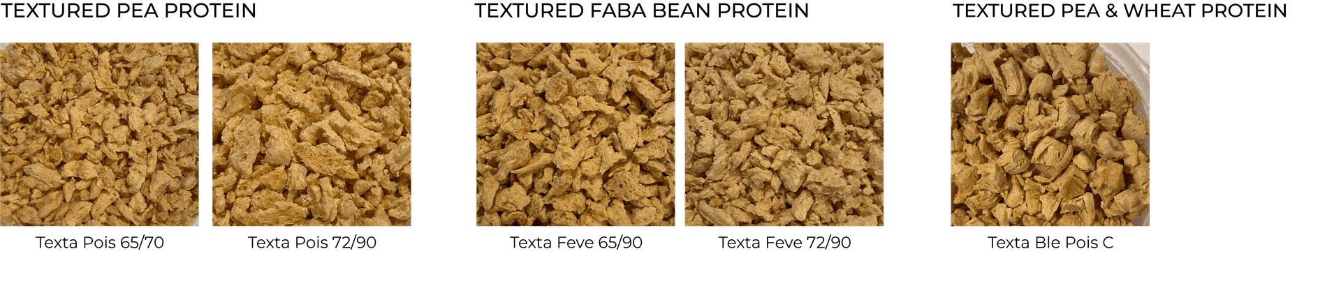 Textured Vegetable Proteins Product Range